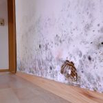 A wall with black spots on it and white walls