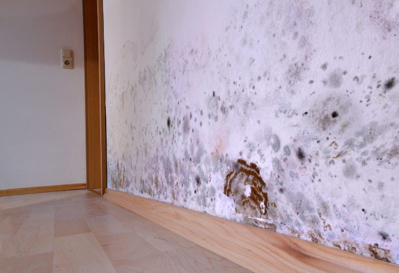 A wall with black spots on it and white walls