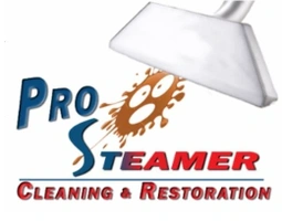 Pro Steamer – Water Damage Restoration