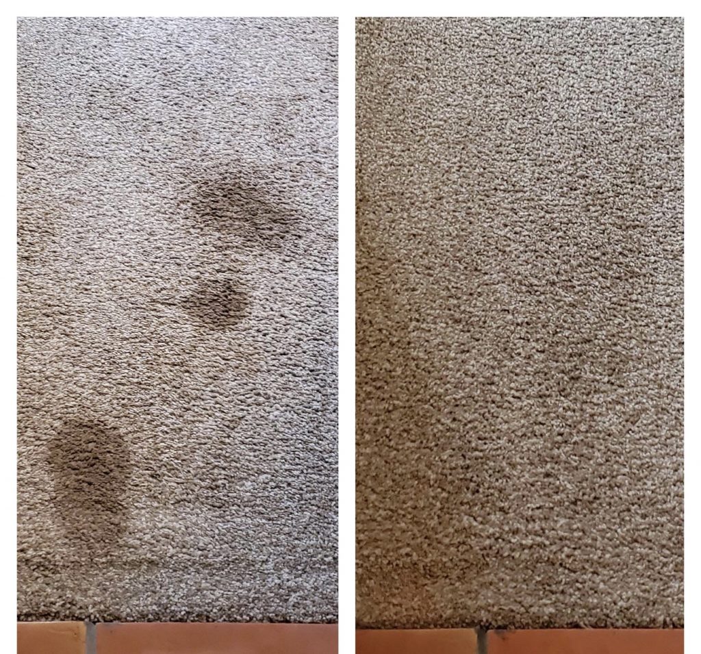 Two pictures of a carpet with brown spots.