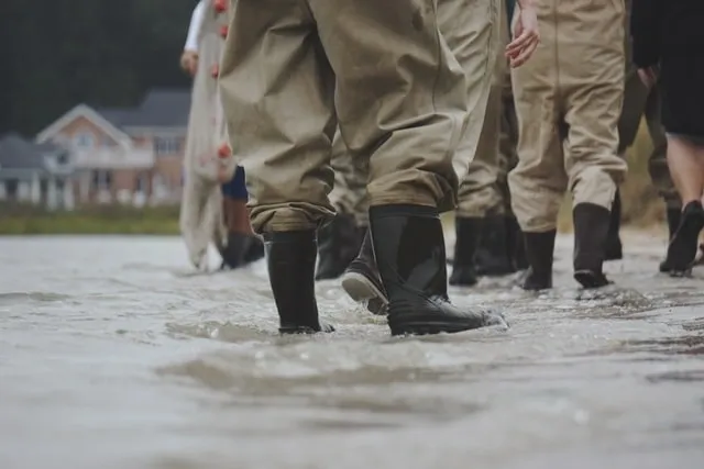 A group of people in waders walking through water.