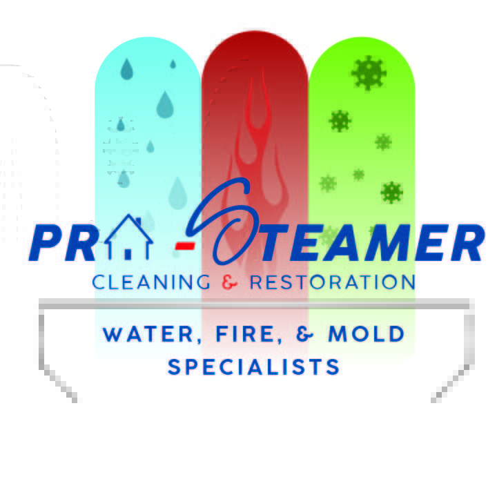 Pro Steamer – Water Damage Restoration