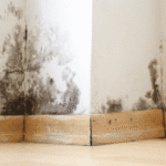 Drying & Dehumidification After Water Damage