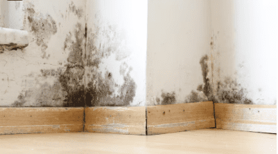 Drying & Dehumidification After Water Damage