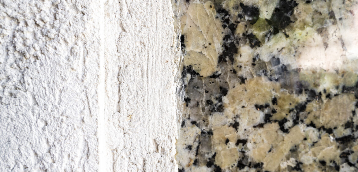 Black Mold vs. Regular Mold: Understanding the Differences