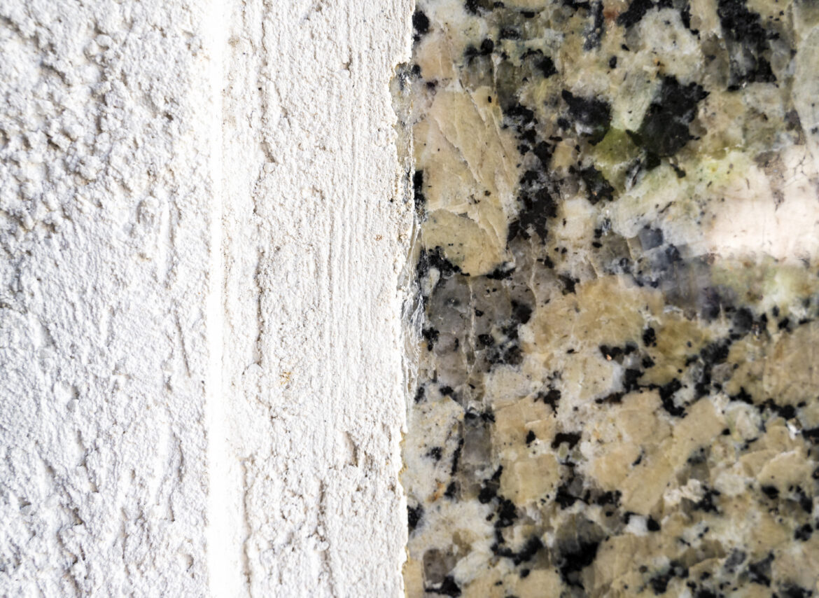 Black Mold vs. Regular Mold: Understanding the Differences