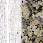 Black Mold vs. Regular Mold: Understanding the Differences