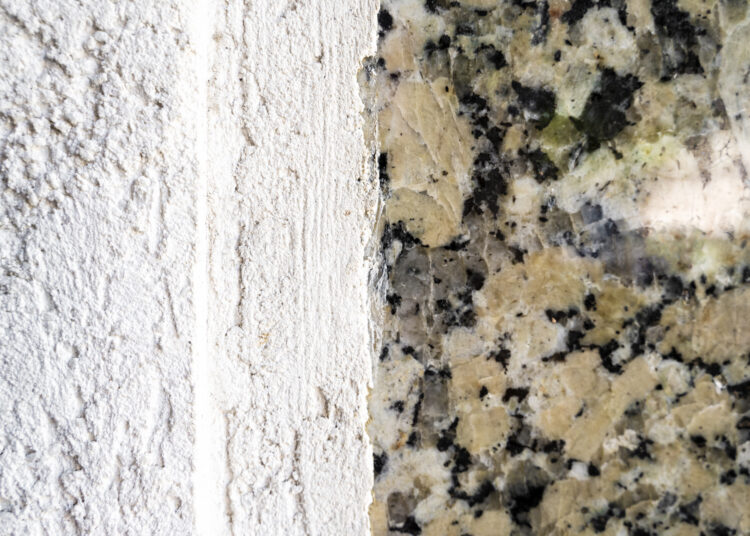 Black Mold vs. Regular Mold: Understanding the Differences